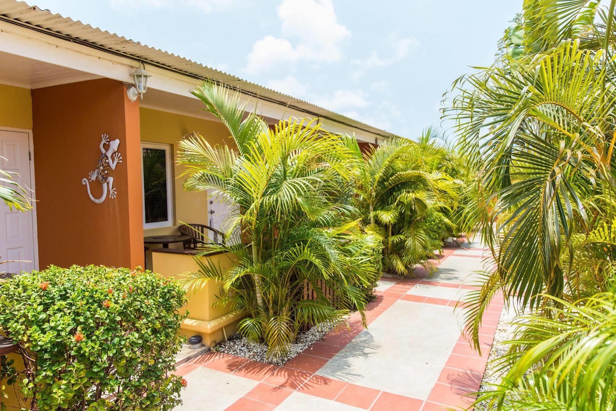 Carinas Studio Apartments Palm Beach Exterior foto